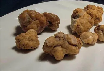 松露:怒江最后的惆怅8