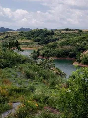 千岛湖千山万水4
