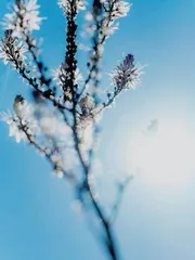 海洋之心长远之道8