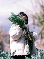 大理风花雪月1