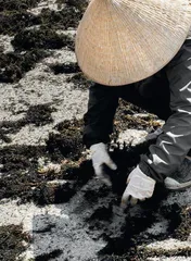 全罗南道 一蔬一饭一茶7