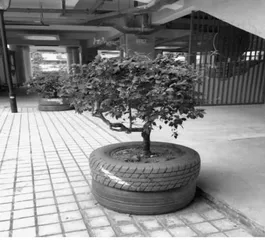 小学数学步道的设计与思考