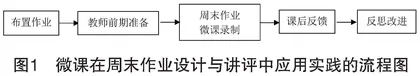 微课在高中生物学周末作业设计与讲评中的应用分析
