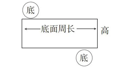 放手让学生自选条件计算圆柱的表面积