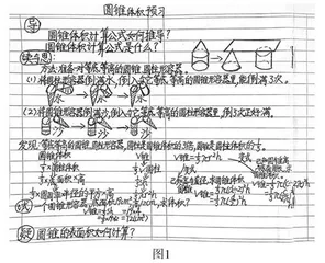 小学数学特色作业设计