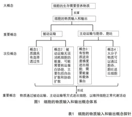 大概念统摄下的高中生物学概念探针的应用