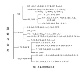 核心素养导向下初中物理跨学科实践策略