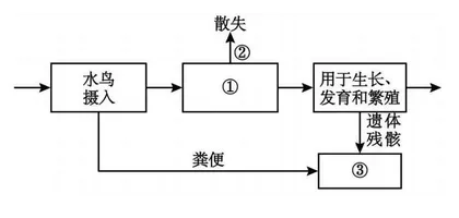 基于“结构与功能观”分析2023年高考全国新课标卷生物学试题