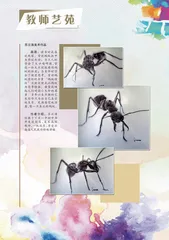 苏云涛美术作品