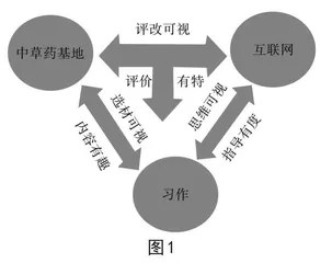 “三有”可视：基于“一地一网”的习作教学策略探寻
