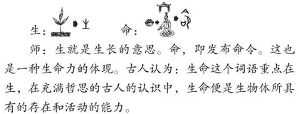 概念具体化：用“镜头”记叙“生命”影像
