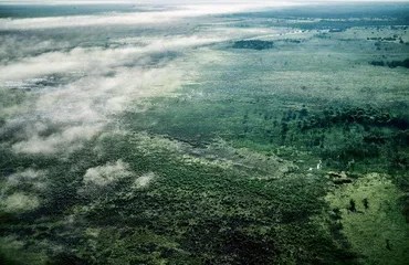 荒野再现