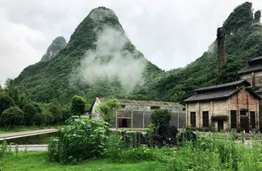 凌宗涌:自然的模样4
