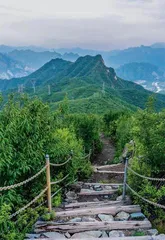 秋之将来,开门见山5