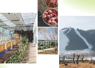 乌鲁木齐 来日方长3