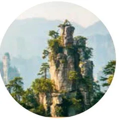 李斯丹妮:爱乐之程4