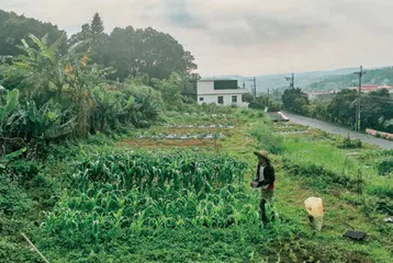 “隐居”生活,锄头与手机并用1
