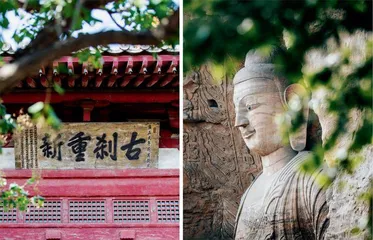 大同大不同3