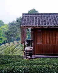 回归大地,新乡村生活14