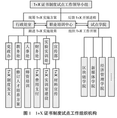 职业本科人才培养模式的探索与实践：从1+X到1+∞
