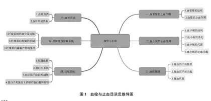 “三位一体”教学法在“血栓与止血”教学中的应用