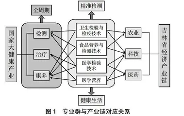 精准检测与健康生活专业群构建探析