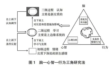 潘克塞普情绪理论视域下高校心理健康教育模式探究