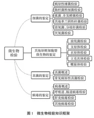 微生物检验课程线上线下混合式教学探索实践