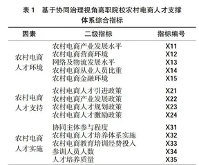 基于协同治理视角的高职院校农村电商人才支撑体系构建研究