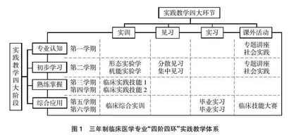 校院一体、以胜任力为导向的基层医疗卫生人才培养模式构建与实施