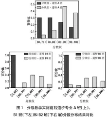 基于分级模式的靶向式教学创新研究
