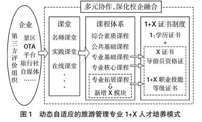 1+X证书制度下高职院校旅游管理专业的人才培养模式研究