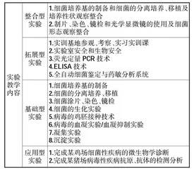 基于应用能力培养的高职院校动物微生物与免疫实践教学新模式探究