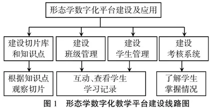 数字化教学平台在形态学实验课中的建设与应用