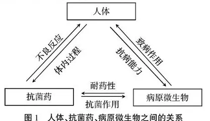 布鲁纳理论在高职院校药学专业药理学教学中的应用