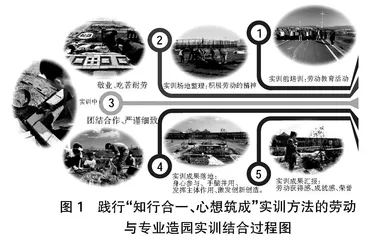 新时代高职劳动教育与专业实训融合育人实践研究