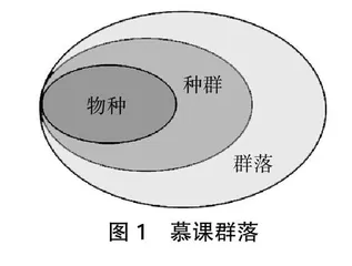 慕课的建设策略：生态学的视角