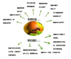基于“问题导向”的幼儿园班本课程的探索与实践