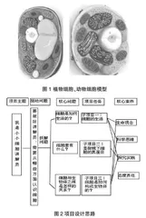 基于UBD理论的初中生物学项目式学习设计与实施