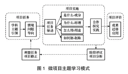 微项目化主题教学 助力科学思维进阶