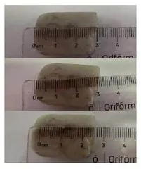 基于实践性活动的小学数学“量感”培养策略探究
