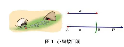 运用尺规作图发展学生空间观念