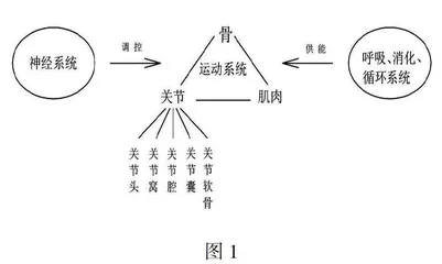 提升学生生物核心素养，注重观察与思考能力培养