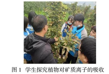 新课程背景下高中生物生活化教学综合实践学习策略