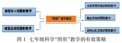 “双减”导向下的科学图形教学策略研究