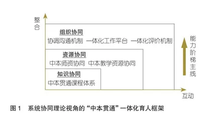 系统协同理论下“中本贯通”一体化育人的框架与实践路径