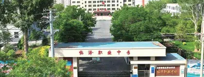 甘肃省张掖市临泽县职业中等专业学校