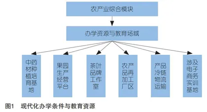 乡村振兴背景下农村职业教育现代化：自信危机与价值重塑