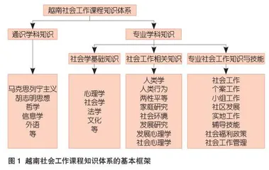 越南社会工作职业教育的发展脉络、特征与启示