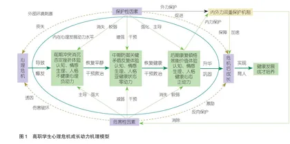 积极取向的高职学生心理危机成长双驱动双保护机制研究